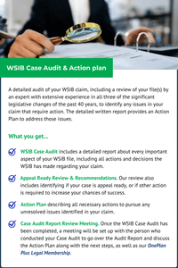 WSIB Case Audit & Action Plan